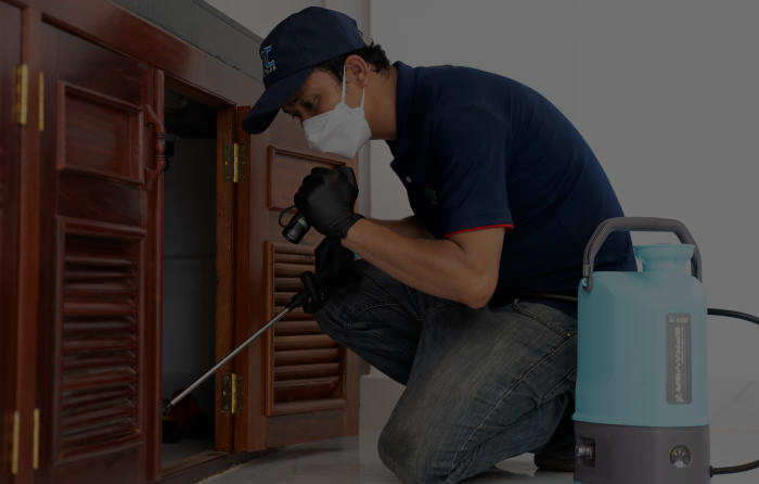 សេវាកម្ម​ក​ម្ចា​ត់​ស​ត្វ​ល្អិ​ត និងកណ្តៀរ