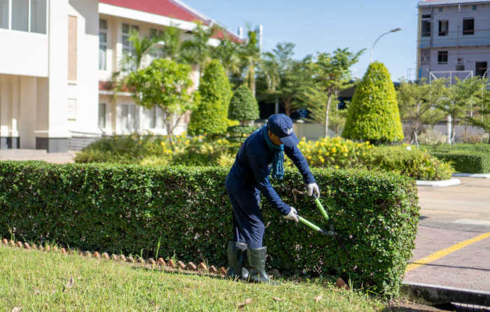 <span class=id-color>MC</span> 园艺园林绿化服务